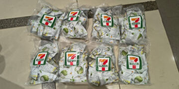 અમદાવાદ એરપોર્ટ પર બેંગકોકથી લાવવામાં આવેલો કરોડોનો ‘હાઈડ્રોપોનિક ગાંજો’ ઝડપાયો | Ahmedabad Airport …