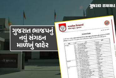 ગુજરાત ભાજપના નવા હોદ્દેદારોની જાહેરાત: ઉપપ્રમુખ, મહામંત્રી અને મોરચા પ્રમુખ સહિતની નવી નિમણૂક, જુઓ …