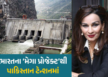 ભારતે દુ:ખતી રગ દબાવતા તરફડવા લાગ્યું પાકિસ્તાન! કહ્યું- પાણીને હથિયાર ન બનાવશો | Pakistan Senator S…