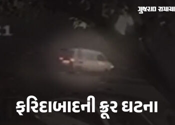 આંખ, ખભા અને ચહેરા પર ગંભીર ઈજા…; ફરિદાબાદ ગેંગરેપ બાદ પીડિતાને 90ની સ્પીડે જતી વેનમાંથી રોડ પર ફે…