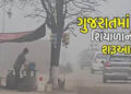 આ વર્ષે કોલ્ડવેવની શક્યતા નહીવત્ : ઠંડી હાલ 2 દિવસ વધશે, પછી ઘટશે | a cold wave this year: The cold …