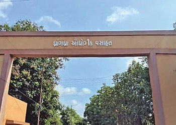 ધ્રાંગધ્રા જીઆઇડીસી મરણપથારીએઃ 35 માંથી માત્ર 5 એકમ કાર્યરત | Dhrangadhra GIDC on deathbed: Only 5 o…