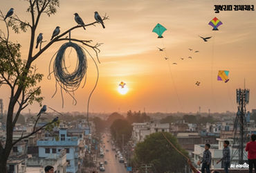સુરતમાં સવારના 6 થી 8 વાગ્યા દરમિયાન પતંગ ઉડાડવા પર પ્રતિબંધ, સોમવારથી જાહેરનામું થશે અમલી | Surat N…