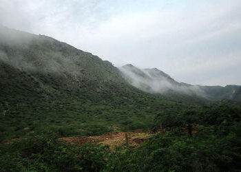 અરવલ્લીનો 31% હિસ્સો જોખમમાં, ભૂગર્ભ જળ સંગ્રહ અટકી જશે : કેન્દ્રના દાવાને નકારતી  સ્ટડી