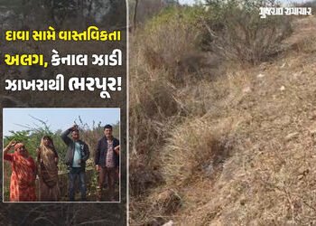 નસવાડી: ‘કાગળ પર પાણી, ખેતરમાં ધૂળ’! કેનાલ હોવા છતાં 4 ગામના ખેડૂતો પાણી માટે વલખાં મારવા મજબૂર, તંત…