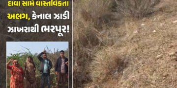 નસવાડી: ‘કાગળ પર પાણી, ખેતરમાં ધૂળ’! કેનાલ હોવા છતાં 4 ગામના ખેડૂતો પાણી માટે વલખાં મારવા મજબૂર, તંત…