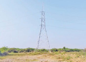 મોટી માલવણમાં સરકારી જમીન પર સોલાર કંપનીનું દબાણ : મંજૂરી વગર 48 વીજપોલ ઊભા કરાયા | government land …