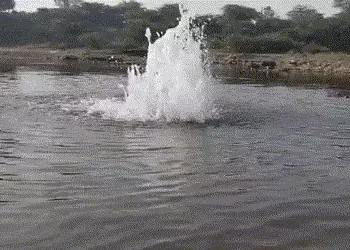 અમરેલી: સાવરકુંડલા રોડ પર પાણીની લાઈનમાં ભંગાણ, ગંદુ પાણી પાંચ ગામોના ઘરોમાં પહોંચતા રોગચાળાનો ખતરો!…