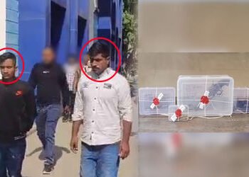 અમદાવાદમાં હત્યાનું ષડયંત્ર નિષ્ફળ, જૂની અદાવતનો બદલો લેવા નીકળેલા બે રીઢા ગુનેગારો હથિયારો સાથે ઝડપ…