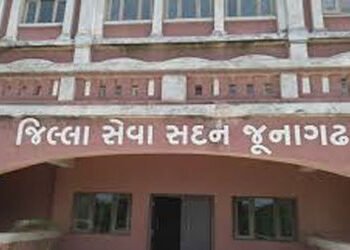 કલેક્ટર કચેરીમાં નાયબ મામલતદાર ચીટનીશ, મામલતદાર નાયબ ચીટનીશ ! | will be appointed in the Collector’s…
