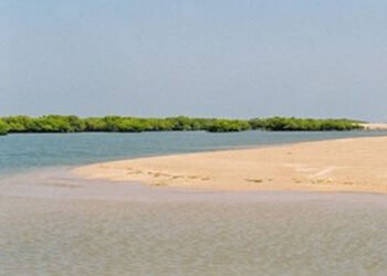 હાલારના સાગર કિનારા વિસ્તારમાં આજથી બે દિવસ માટેની સાગર સુરક્ષા કવચ અંગેની કવાયતનો પ્રારંભ | Two day…