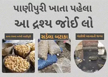 સડેલા બટાકા અને કાળું મેશ તેલ: પાણીપુરીનો ચટાકો પડશે ભારે, આ દૃશ્ય જોઈ લો | Ahmedabad News Panipuri …