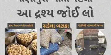 સડેલા બટાકા અને કાળું મેશ તેલ: પાણીપુરીનો ચટાકો પડશે ભારે, આ દૃશ્ય જોઈ લો | Ahmedabad News Panipuri …