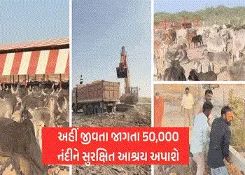 Exclusive: વાવ થરાદમાં 800 એકરમાં આકાર લઈ રહ્યું છે ‘ગૌ અભયારણ્ય’, 50 હજાર ગૌવંશને મળશે આશ્રય | vav …
