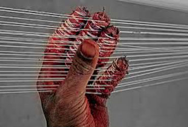 પતંગ ઉડાડવા માટે નાયલોન અને ચાઇનિઝ દોરા પર પ્રતિબંધ | Ban on nylon and Chinese strings for kite flyi…