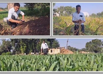 પંચમહાલ: વલ્લવપુરના ખેડૂતે રાસાયણિક ખેતી છોડી પ્રાકૃતિક ખેતીથી સોનું પકવ્યું, ખર્ચ ઘટ્યો અને ઉત્પાદન…
