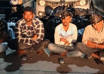 વન-ડે મેચ અને પ્રજાસત્તાક દિનની ઉજવણી પૂર્વે વાઘોડિયામાં દારૃના કટિંગના મોટા ધંધાનો પર્દાફાશ ઃ નવની …