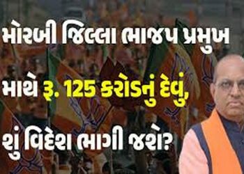 મોરબી ભાજપ પ્રમુખના 700 કરોડના કાંડમાં EDના દરોડા કેમ પડતા નથી | Why are there no ED raids in the Rs…