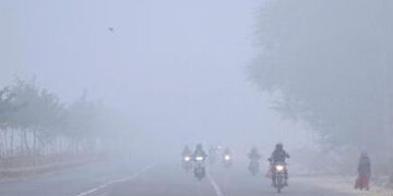 ગુજરાતમાં હાડ થીજવતી ઠંડી, 4.8 ડિગ્રી સાથે નલિયા સૌથી ઠંડું, જાણો અન્ય જિલ્લાઓની સ્થિતિ | Severe Col…
