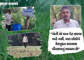 ઝેરમુક્ત ખેતી, મબલક કમાણી: પંચમહાલના ખેડૂતે શાકભાજી વેચી ખેતીને બનાવ્યો નફાકારક વ્યવસાય | Panchmahal…