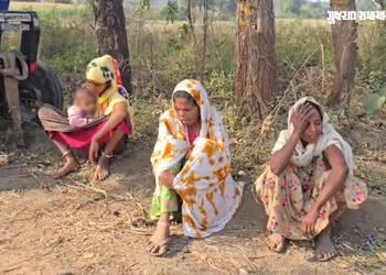 છોટાઉદેપુર: હાઈવેની કામગીરી બની કાળમુખી, ઓવરલોડ લાકડા ભરેલા ટ્રેક્ટર પરથી પટકાતા મજૂરનું મોત, 2 બાળક…