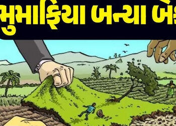 મહેમદાવાદના વાંઠવાળી ગામે કરોડોની સરકારી જમીનનું બારોબારીયું : એસઆઈટી દ્વારા તપાસ | Government land …
