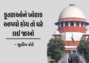 કૂતરું કરડવાના દરેક કિસ્સામાં સરકારે વળતર આપવું પડે તેવો આદેશ આપીશું: સુપ્રીમ કોર્ટ લાલઘૂમ | Supreme…
