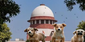 રખડતા કૂતરા કરડે તો રાજ્ય સરકારે પીડિતને મોટું વળતર ચૂકવવું પડશે | If a stray dog ​​bites the state …