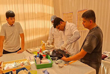 ઉતરાયણ પર્વના 5 દિવસમાં કાતિલ દોરીથી 71 પક્ષી ઇજાગ્રસ્ત – 2નાં મોત | 71 birds injured by deadly rope…