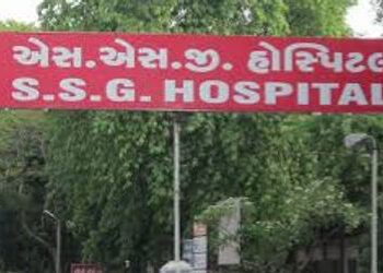ઉત્તરાયણના દિવસે પતંગના દોરાના કારણે ૩૭ લોકોને ઇજા | 37 people injured due to kite string on Uttaray…