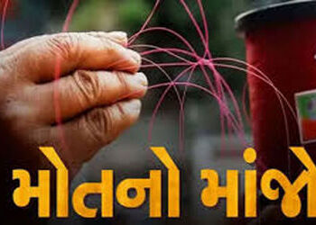સૌરાષ્ટ્રમાં પતંગના તીક્ષ્ણ દોરાથી 50થી વધુ લોકો લોહીલુહાણ થયા | More than 50 people bled to death d…