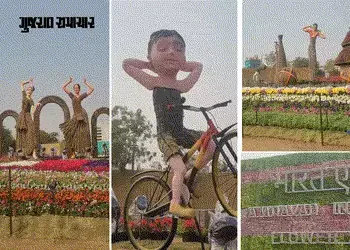 અમદાવાદમાં ફ્લાવર શો 7 દિવસ લંબાવાયો, હવે 29 જાન્યુઆરી સુધી લોકો માણી શકશે | Flower show will now ru…