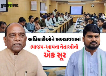 નર્મદા: ફોરેસ્ટ અધિકારીઓ ‘વિચિત્ર પ્રાણી’ અને ‘ક્રેક મગજના’ છે.., સંકલન બેઠકમાં સાંસદ મનસુખ વસાવા વિ…