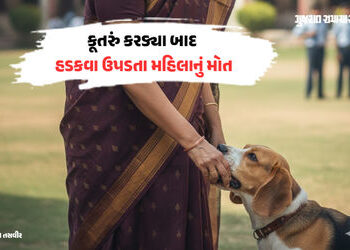 ગાંધીનગર: કૂતરું કરડ્યાના 4 મહિના બાદ હડકવા ઉપડ્યો, નિવૃત IASની પુત્રીનું કરુણ મોત | Gandhinagar New…