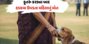 ગાંધીનગર: કૂતરું કરડ્યાના 4 મહિના બાદ હડકવા ઉપડ્યો, નિવૃત IASની પુત્રીનું કરુણ મોત | Gandhinagar New…
