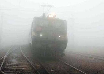 ઉત્તર ભારતમાં ગાઢ ધુમ્મસ : સાતનાં મોત, 100થી વધુ ટ્રેનો મોડી પડી