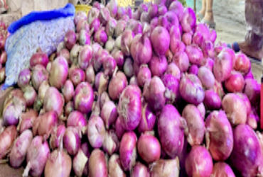 અમદાવાદ: ડુંગળીના ભાવમાં ભડકો, છૂટક બજારમાં ભાવ ₹30થી 50 પ્રતિ કિલોને પાર, હોટલોમાં ક્વોલિટી અને કિં…