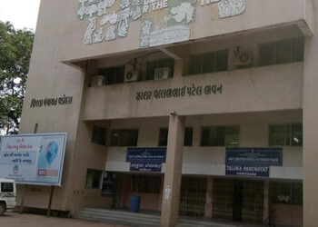 વડોદરા જિલ્લા પંચાયતનું 39.52 કરોડનું પુરાંતવાળું બજેટ કારોબારીમાં મંજૂર | Vadodara District Panchay…
