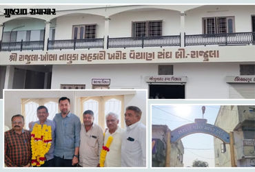 અમરેલી: રાજુલા માર્કેટિંગ યાર્ડના ચેરમેન તરીકે રાજુભાઈ પરસાણા અને વાઈસ ચેરમેન પદે પીઠાભાઈ નકુમની વરણ…