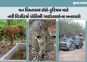રતનમહાલમાં વાઘના સંરક્ષણ માટે ગ્રામજનોને અપાશે તાલીમ, રાજ્યમાં દીપડાઓ માટે બનશે નવું અભયારણ્ય | Vill…