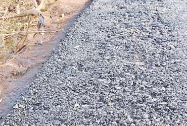 દોલત પોરડાથી તાજેરી સુધીનો ડામર રસ્તો હલકી ગુણવત્તાનો બનતા સ્થાનિકોમાં રોષ | Locals are angry over t…