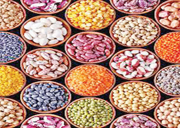 સાનુકૂળ સ્ટોકને ધ્યાનમાં રાખતા વર્તમાન નાણાં વર્ષમાં કઠોળની આયાત નીચી રહેશે | Pulses imports will re…