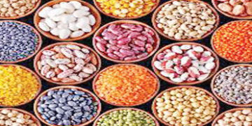 સાનુકૂળ સ્ટોકને ધ્યાનમાં રાખતા વર્તમાન નાણાં વર્ષમાં કઠોળની આયાત નીચી રહેશે | Pulses imports will re…