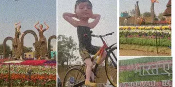 અમદાવાદમાં ફ્લાવર શો ફ્લોપ: 17 કરોડનો ખર્ચો કર્યા છતાં બે લાખ મુલાકાતી ઘટ્યાં! | ₹17 Crore Flower Sh…