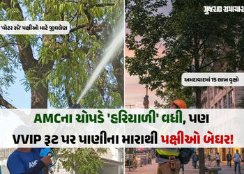 અમદાવાદમાં 15 લાખ વૃક્ષો અને 261 દુર્લભ પ્રજાતિ છતાં પક્ષીઓ અસુરક્ષિત, VVIP ‘દેખાડા’ માં માળાઓનો સોથ…