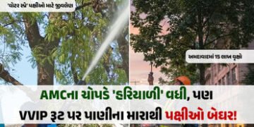 અમદાવાદમાં 15 લાખ વૃક્ષો અને 261 દુર્લભ પ્રજાતિ છતાં પક્ષીઓ અસુરક્ષિત, VVIP ‘દેખાડા’ માં માળાઓનો સોથ…