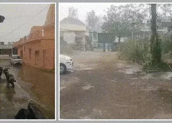 પંચમહાલ: શહેરાના મોરવા રેણા પંથકમાં માવઠું, રવિ પાક પર સંકટ તોળાતા ખેડૂતો ચિંતાતુર | Unseasonal Rain…