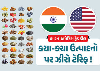 Explainer: ભારત-અમેરિકા ડીલની આરપાર, જાણો ભારત કઈ ચીજો પર કેવી રીતે ઝીરો ટેરિફનો અમલ કરશે | India US…