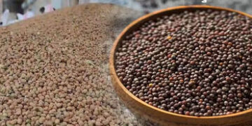 ગુજરાતમાં ચણા અને રાઇની ટેકાના ભાવે ખરીદી કરાશે, 13 ફેબ્રુઆરીથી ઓનલાઇન નોંધણી, જાણો ભાવ | Gujarat Go…