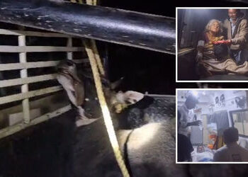 અમરેલી: લીલિયાના કણકોટમાં નીલગાયનો કહેર, ગ્રામજનો પર જીવલેણ હુમલો કરતા લોકોમાં ભારે ફફડાટ | Nilgai C…